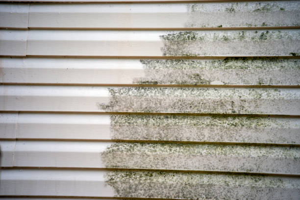 Affordable siding repair and maintenance services in Glendale, WI