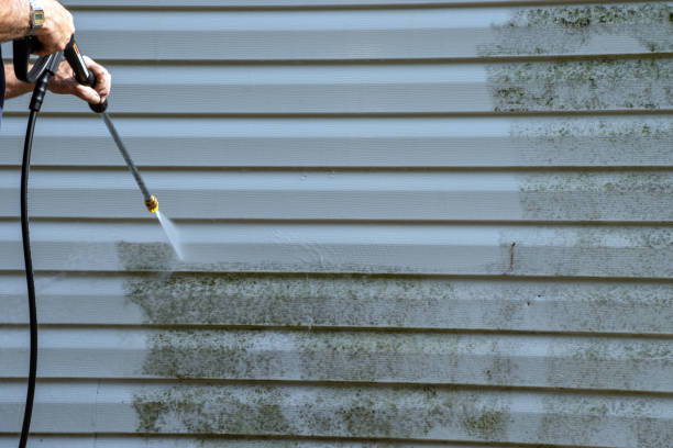 Best Siding Removal and Disposal  in Glendale, WI